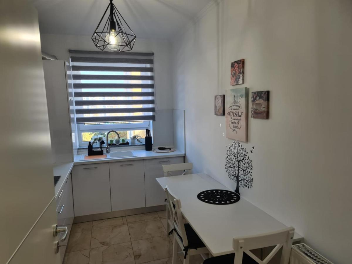 Oscar House Apartment Brasov Exterior photo